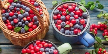 fresh blueberry|blueberry jam