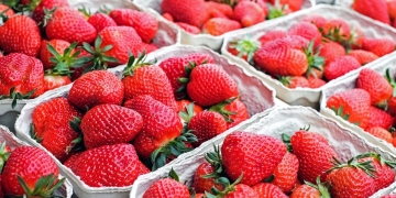 boxes of strawberries|hands clutching strawberries|basket with strawberries