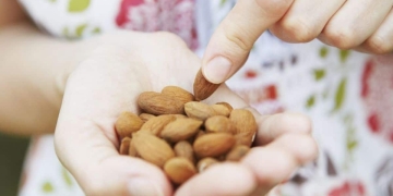 eat almonds|no comer almendra