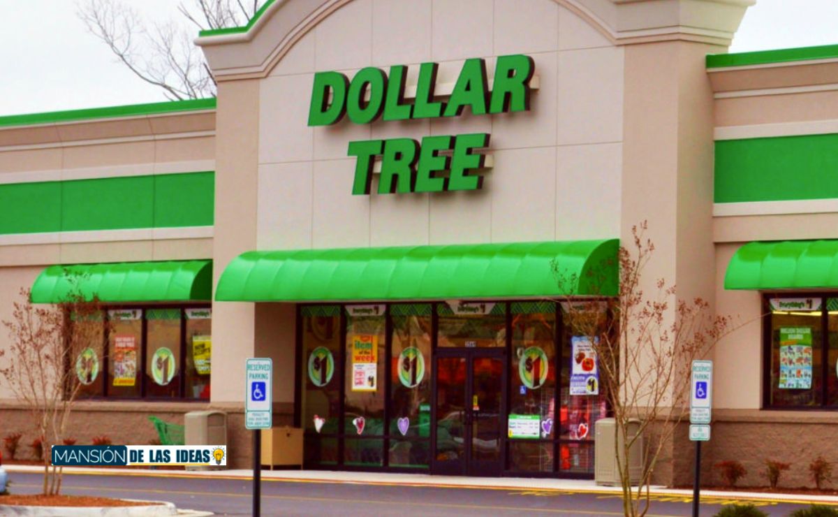 dollar tree store|Dollar Tree's one-dollar ribeye steak offer